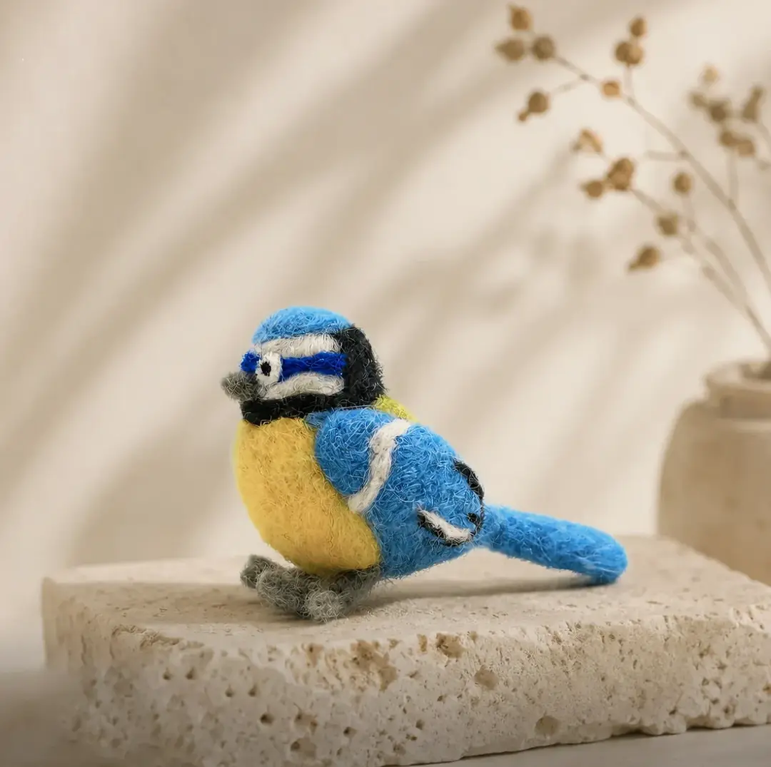 Birds